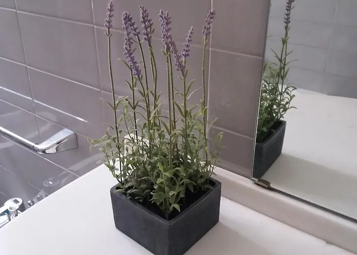 Apartment Casa Michelangelo