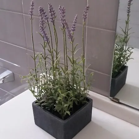 Lejlighed Casa Michelangelo